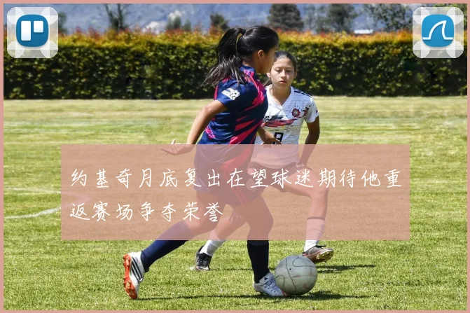 约基奇月底复出在望球迷期待他重返赛场争夺荣誉