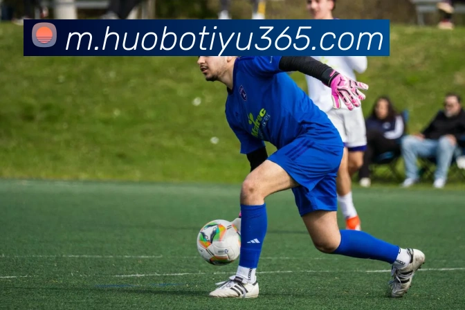 火博体育平台生态图