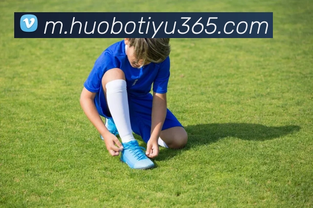 火博体育APP 封面图